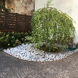 Appartamento La Betulla